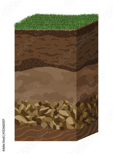 Soil layers. Surface horizons upper layer of earth structure with mixture of organic matter, minerals and stones. Dirt and underground clay layer under green grass