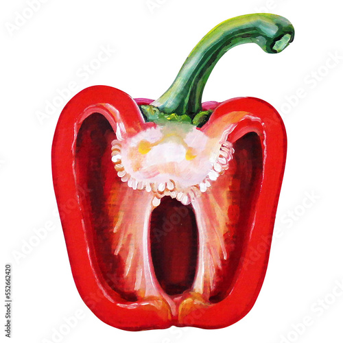 red pepper painting