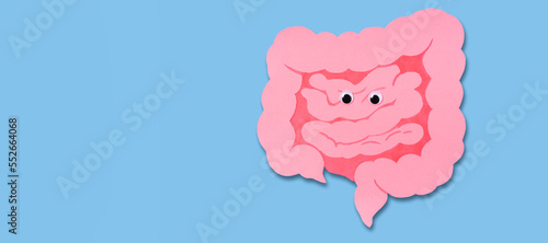 Healthy gut. Cute cartoon intestine with eyes. Healthy intestinal digestion concept, colon cancer screening, intestinal disease treatment, biology and organs study for kids.