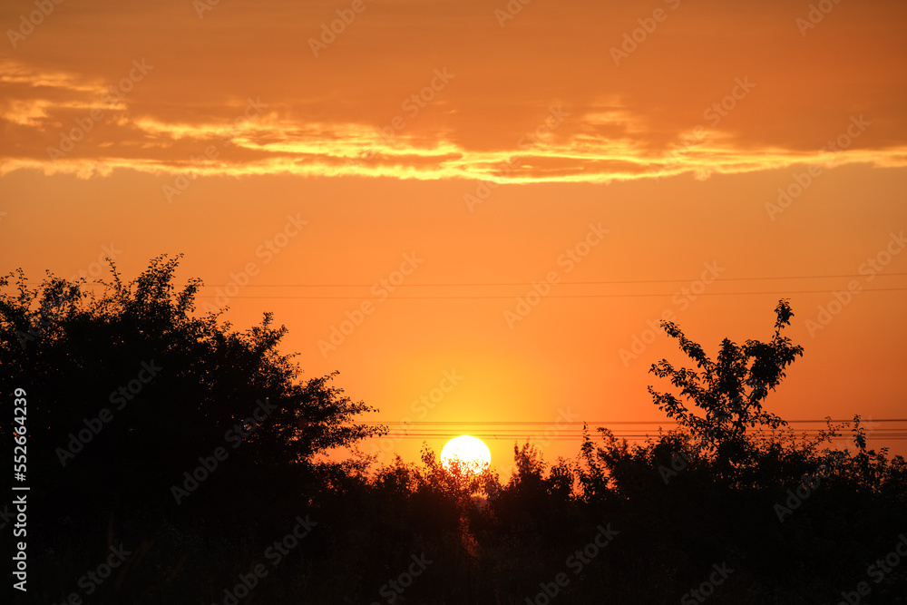 Dark foliage of small trees and bush against bright colorful sunset sky with vivid clouds illuminated with setting sun light Dark foliage of small trees and bush against bright colorful sunset sky with vivid clouds illuminated with setting sun light