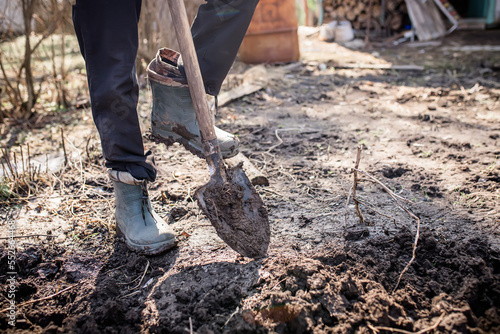 The foot of a hard-working farmer in dirty boots in the garden digs up the soil for planting seeds or seedlings in the spring. Worker digs soil with shovel