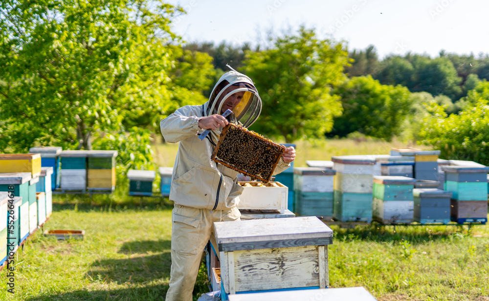 Honeycomb farming process. Beekeeping man working in apiary. Honeycomb farming process. Beekeeping man working in apiary.