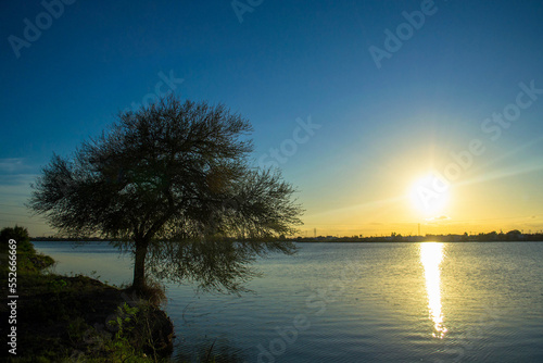 Horizon view at sunset in front of a tree River bank next to a tree at sunset