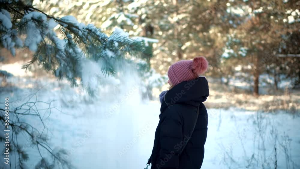 winter snowy wood leisure. snow forest winter leisure winter snowy wood leisure. snow forest winter leisure