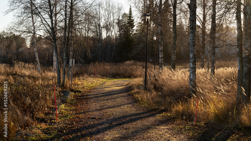 path in autumn forest path in autumn forest
