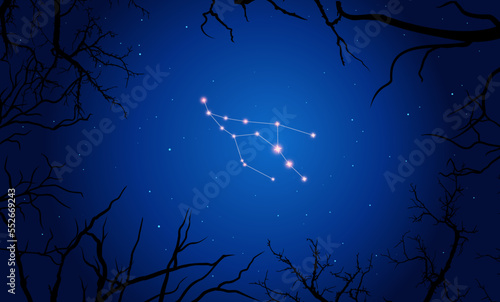Vector illustration Camelopardalis constellation. Tree branches  dark blue starry sky  cosmos. Illustration of constellation scheme Camelopardalis