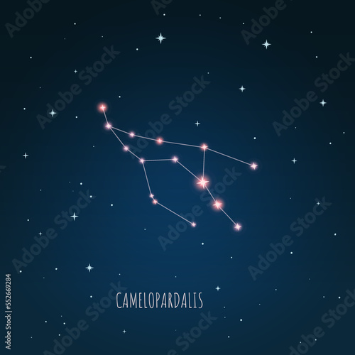 Constellation Camelopardalis scheme in starry sky. Open space. Vector illustration Camelopardalis constellation through a telescope. 