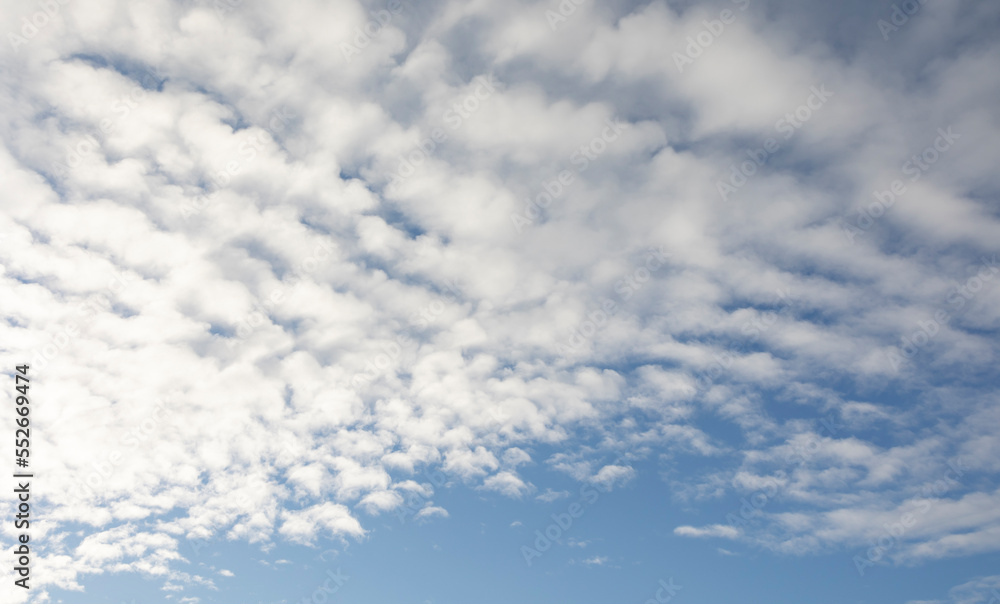cirrus clouds against a bright blue sky
