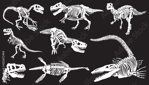Graphical set of dinosaur skeletons isolated on black background,vector illustration,paleontology