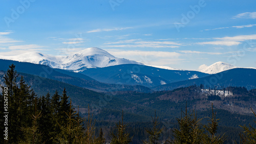 Wonderful views of the Carpathian Mountains covered with snow and a clear blue sky in Ukraine. © Niko_Dali