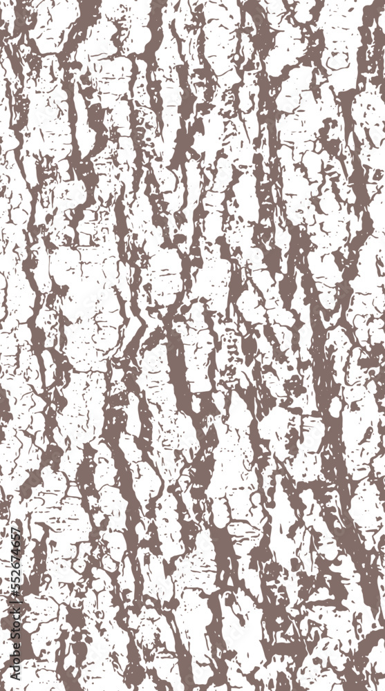 Hemlock tree bark texture Hemlock tree bark texture