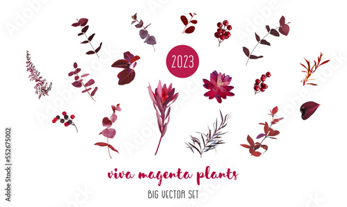 Trendy magenta plants vector design big set. Burgundy red eucalyptus, dark echeveria succulent, red berry, astilbe