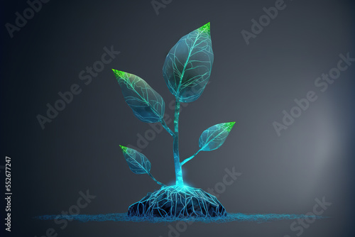 Digital representation of a small plant