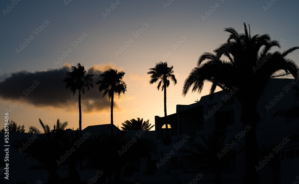 Sunset in the palm