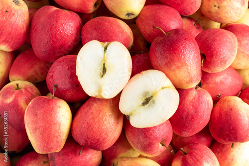 red apple of the kandil sinap variety photo