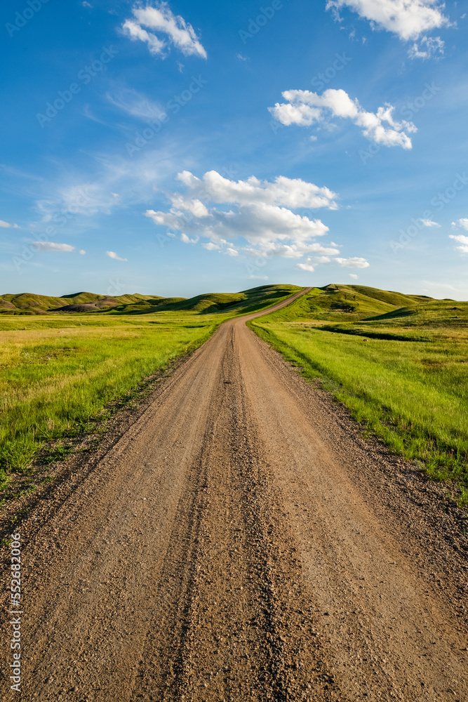 Gravel road leading into the distance, Grasslands National Park; Val Marie, Saskatchewan, Canada