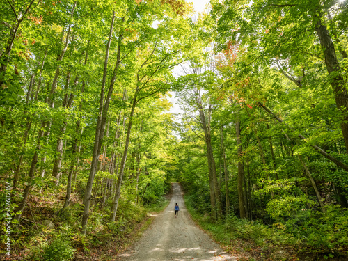 Woman walking down a tree lined road in rural Ontario; Strathroy, Ontario, Canada photo