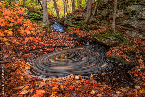 Long exposure of leaves circling in a small pond near the Oxtongue River rapids; Ontario, Canada photo