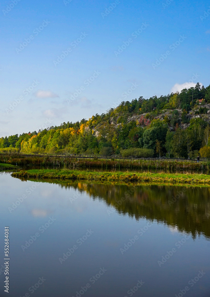 lake and forest lake and forest