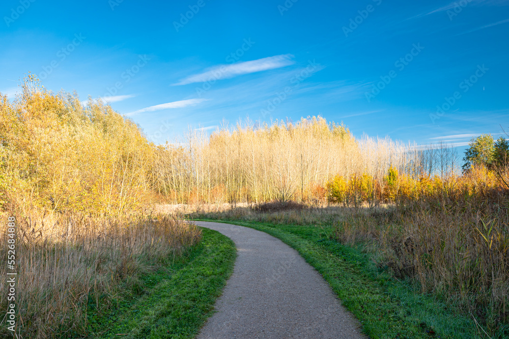 Fototapeta premium Walking path in recreational area Bentwoud, The Netherlands, on a sunny November afternoon
