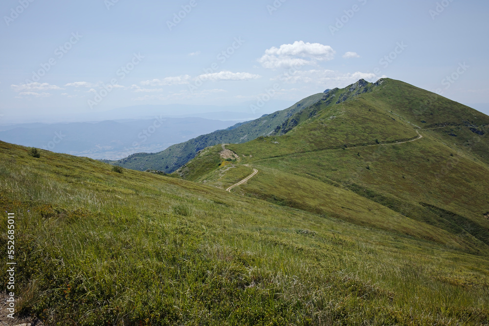 Obraz premium Summer landscape of Belasitsa Mountain, Bulgaria