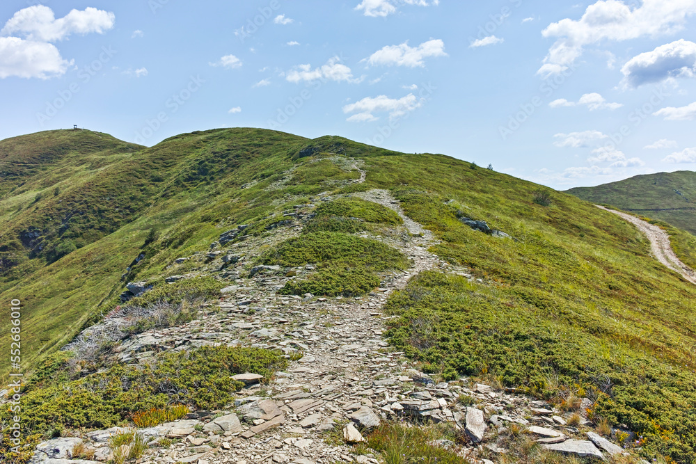 Summer landscape of Belasitsa Mountain, Bulgaria