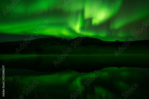 Northern Lights glowing a vibrant green in the Yukon night sky; Watson Lake, Yukon, Canada