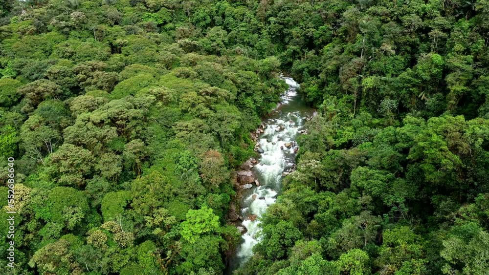Aerial view of a tropical mountain stream in the Andes of Ecuador, South America Aerial view of a tropical mountain stream in the Andes of Ecuador, South America