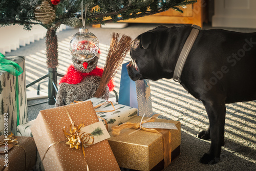 Staffordshire Bull Terrier dog looks at a straw snowman ornament under a Christmas tree surrounded by wrapped gifts. Sunlight is shining through blinds creating stripes on the carpet.