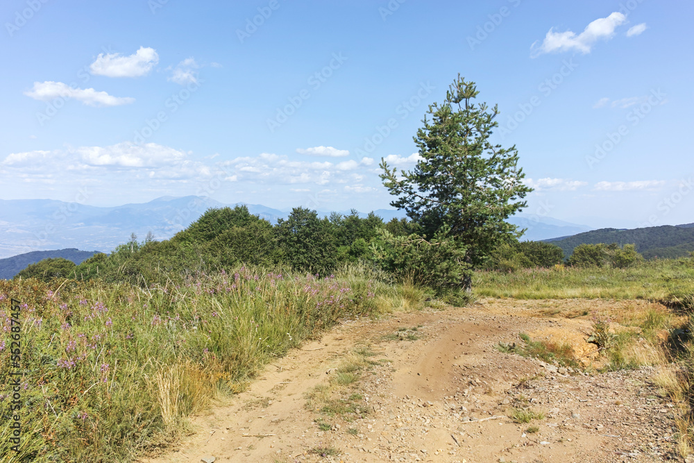 Summer landscape of Belasitsa Mountain, Bulgaria Summer landscape of Belasitsa Mountain, Bulgaria