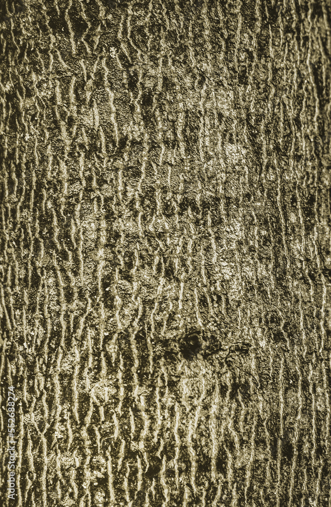 natural organic textured grunge background natural organic textured grunge background