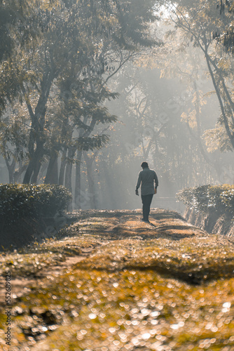 On a foggy morning, a person walking along a tree garden road
