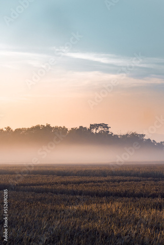 sunrise over the field © Abdul Kayum 