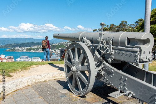 Old cannon with view to Wellington, Botanic garden hill