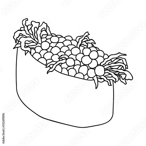 Hand drawn gunkan maki sushi clipart. Japanese traditional cuisine dishes. Asian food