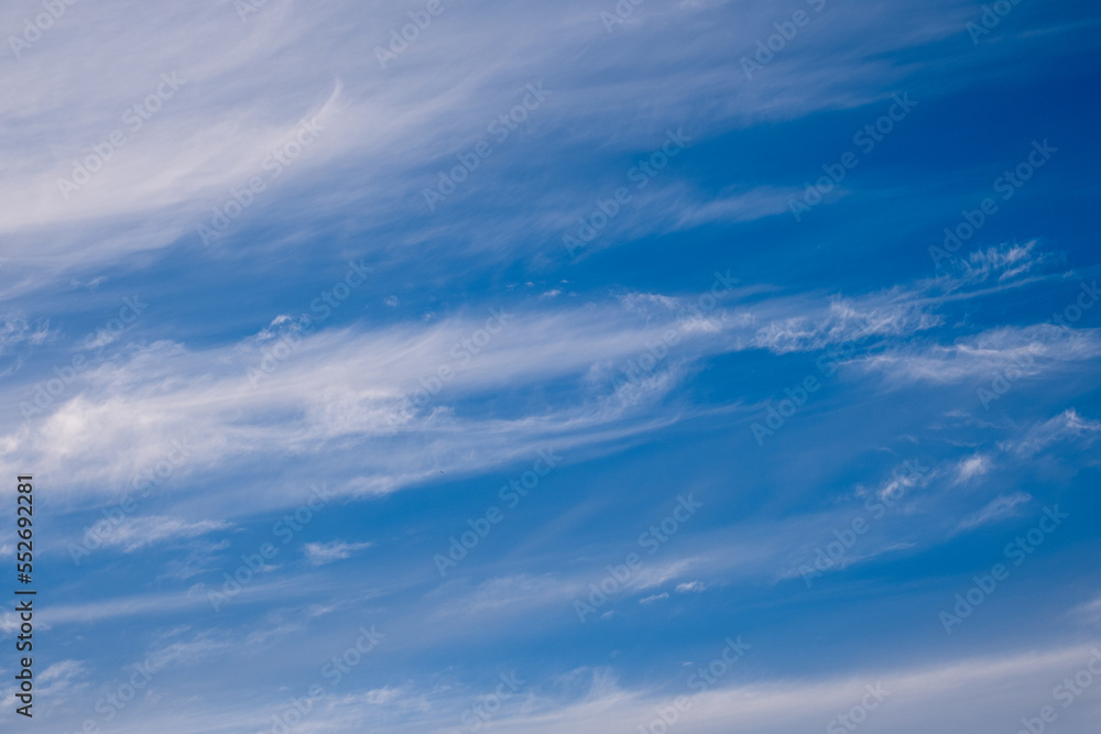 cirrus clouds at sunset. blue sky. cirrus clouds at sunset. blue sky.