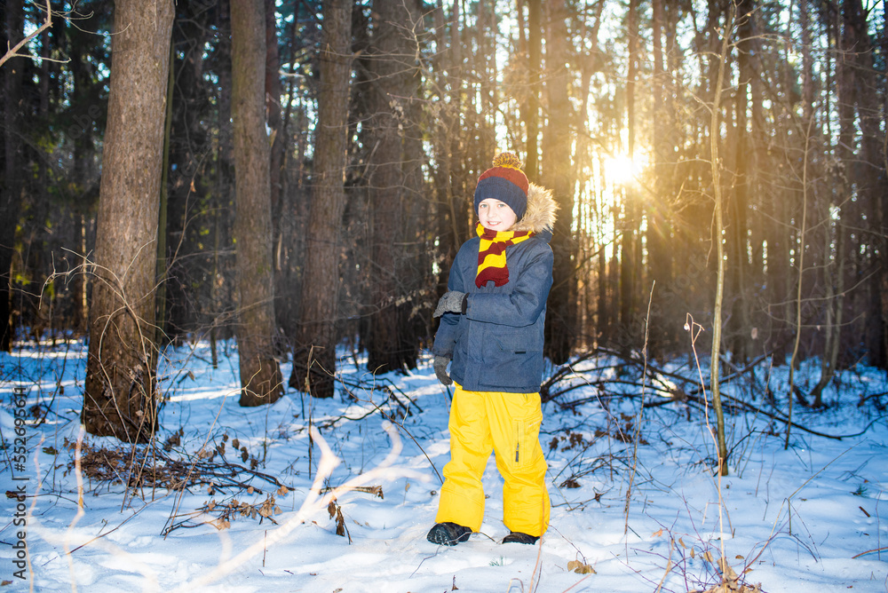 Naklejka premium happy smiling child in a jacket, hat, scarf, walks in a winter sunny forest on a snowy day 