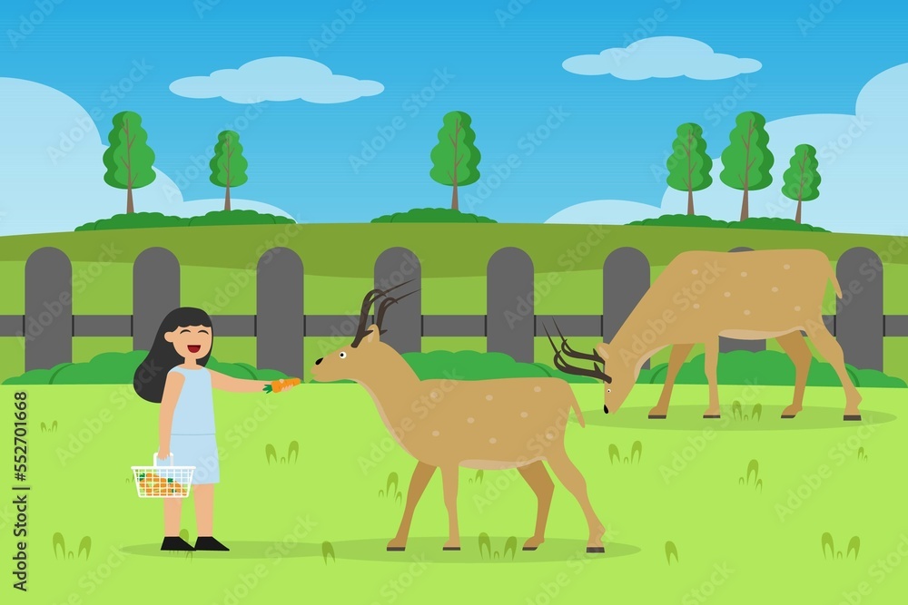 Fototapeta premium Girl playing and feeding deer with carrots at the zoo