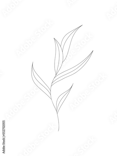 Minimalism stylish outline flower leaf branch tree. Modern design. Perfect for tatoo, postcard, invitation, everything. Vector illustration.