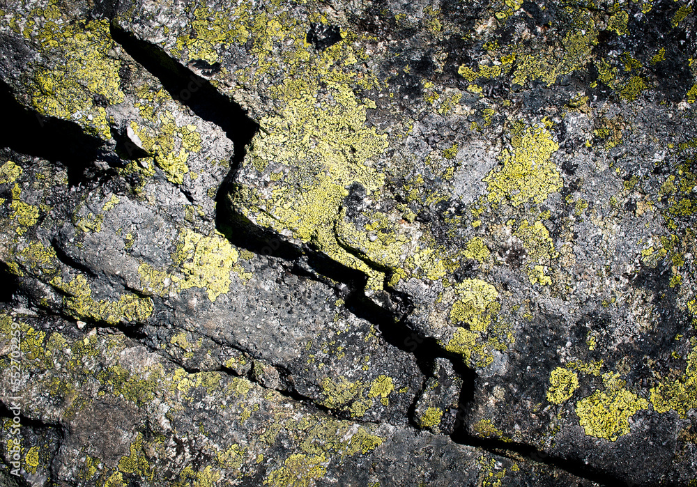 Obraz premium detail of granite block with yellow moss