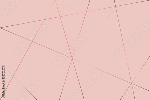 Rose gold line background. Abstract artistic of geometric background. Vector illustration 