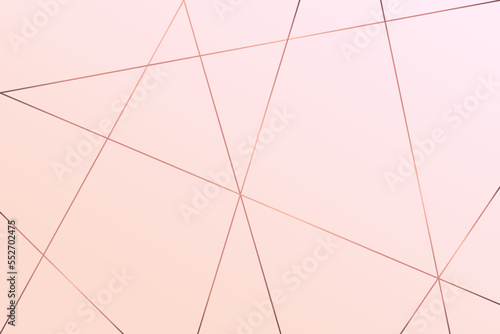 Rose gold line background. Abstract artistic of geometric background. Vector illustration 