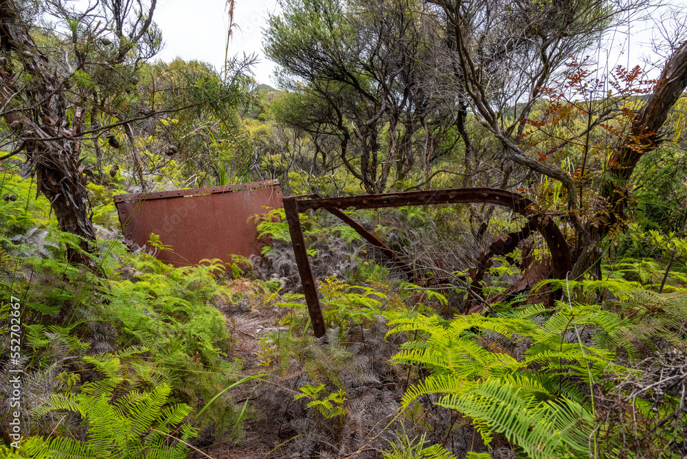 Remains of the early gold rush on Great Barrier Island