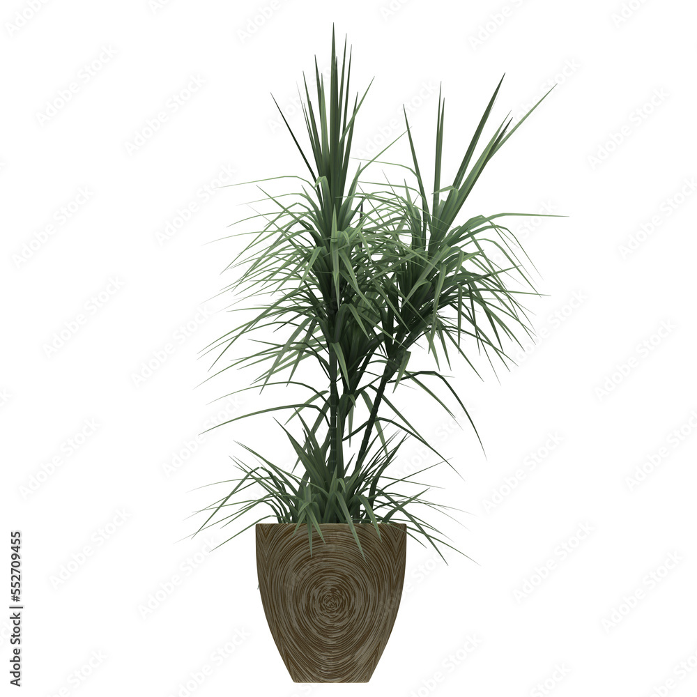 Generic Plant Tree PNG rendered in 4K Resolution for compositing and Background. With transparency alpha channel. 8K based in 3d model. Generic Plant Tree PNG rendered in 4K Resolution for compositing and Background. With transparency alpha channel. 8K based in 3d model.
