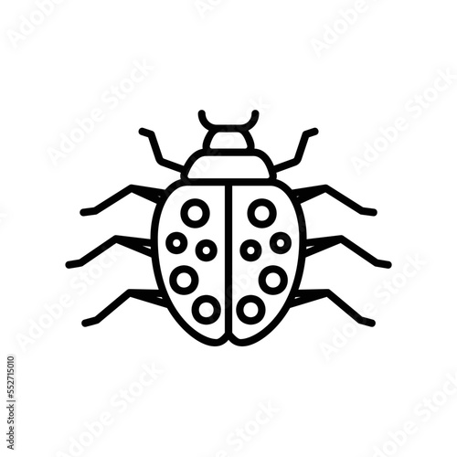 Ladybug icon for small insect or wildlife © yoyonpujiono
