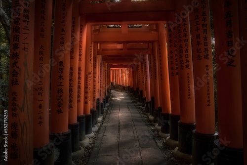 This image shows a tunnel made by red Japanese torii gates at the Fushimi Inari Shrine with dramatic sun beams illuminating the path.  © Gypsy Picture Show