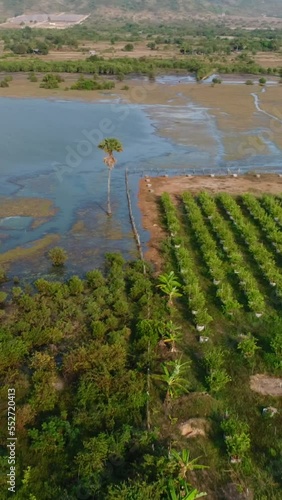 Vertical video of Drone footage of Brateak Krola Lake between Kampot and Kep, Cambodia. The camera is going over fields that are on the shore of the lake and is panning left facing its green water. photo