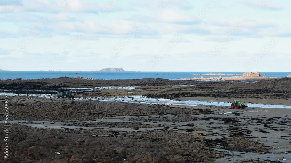 Récolte d'algues en bord de mer en Bretagne - 4K Récolte d'algues en bord de mer en Bretagne - 4K