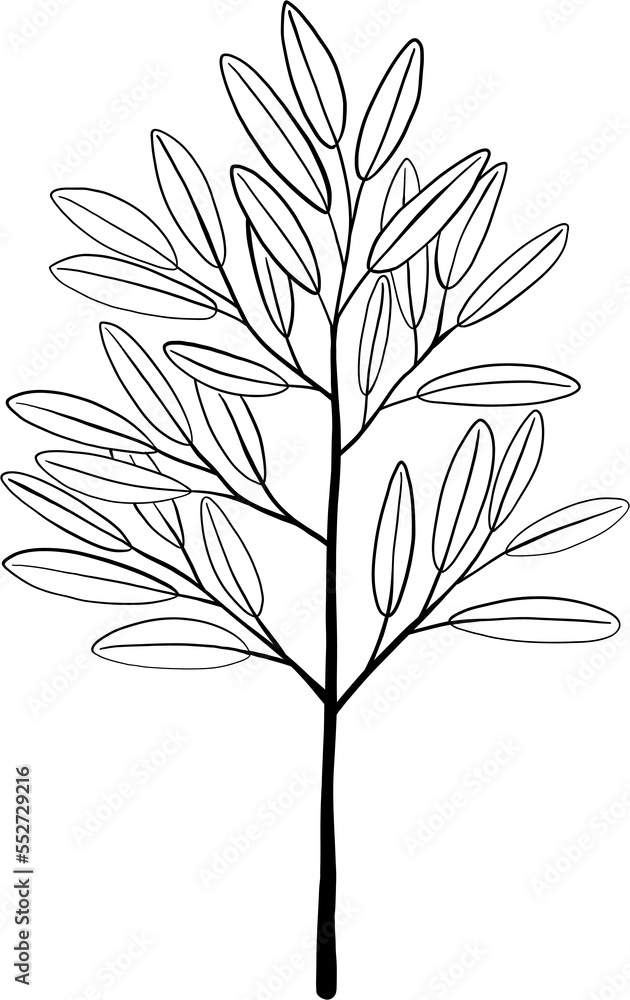 simplicity eucalyptus leaf freehand drawing. simplicity eucalyptus leaf freehand drawing.