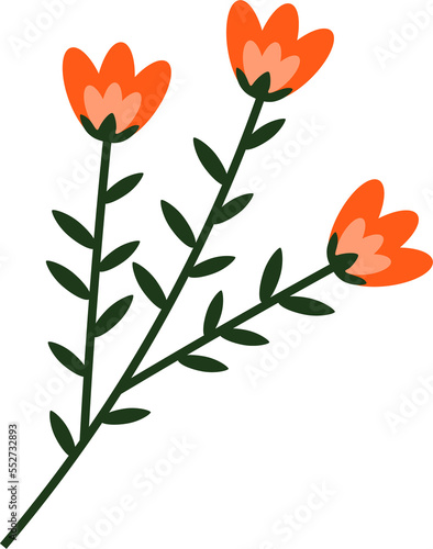 orange flower